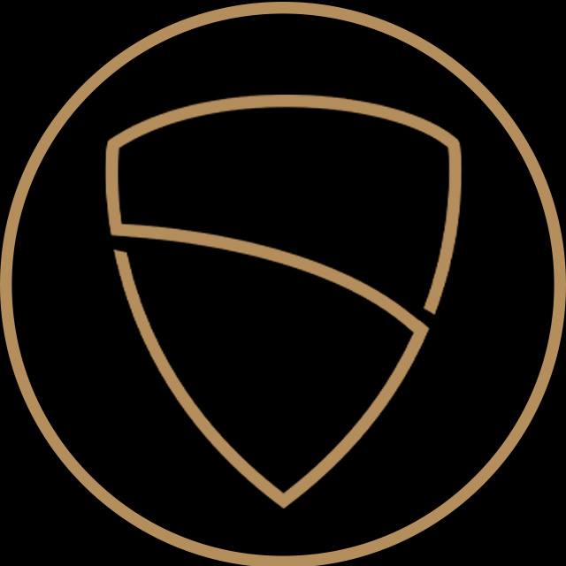 Vaultskin logo