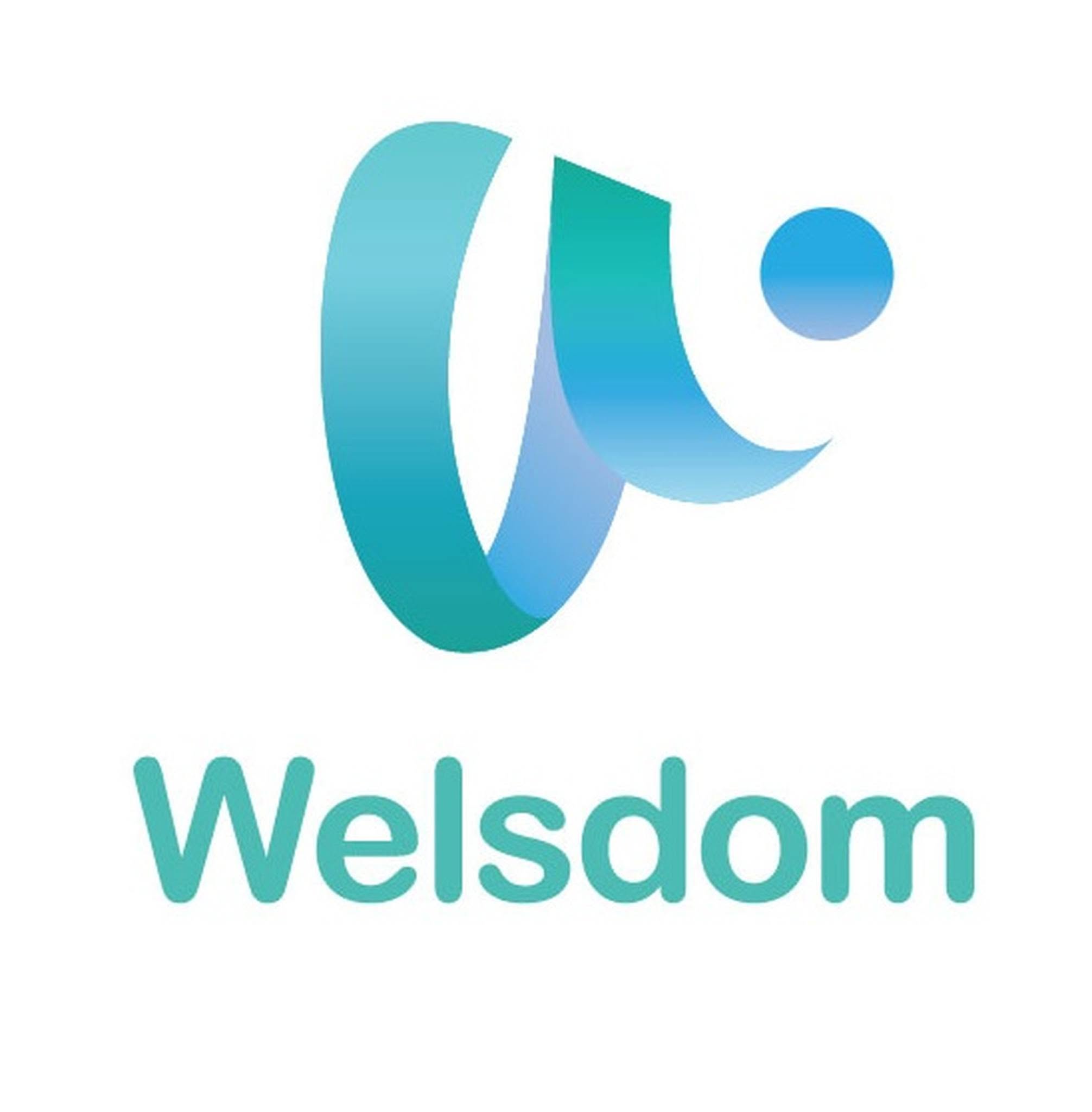 Welsdom Inc.